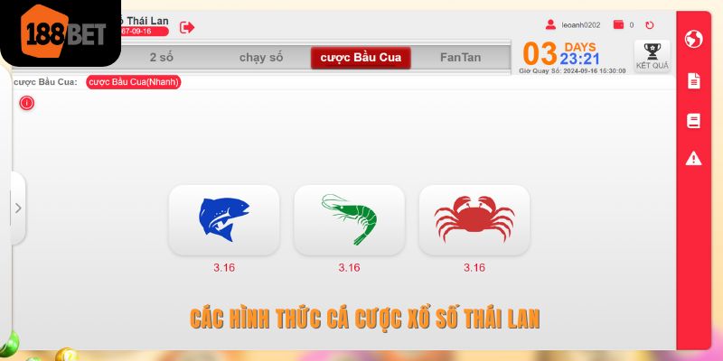 Xổ số Thái Lan 188bet và toàn bộ thông tin chi tiết nhất 2 5 hình thức cá cược theo xổ số Thái