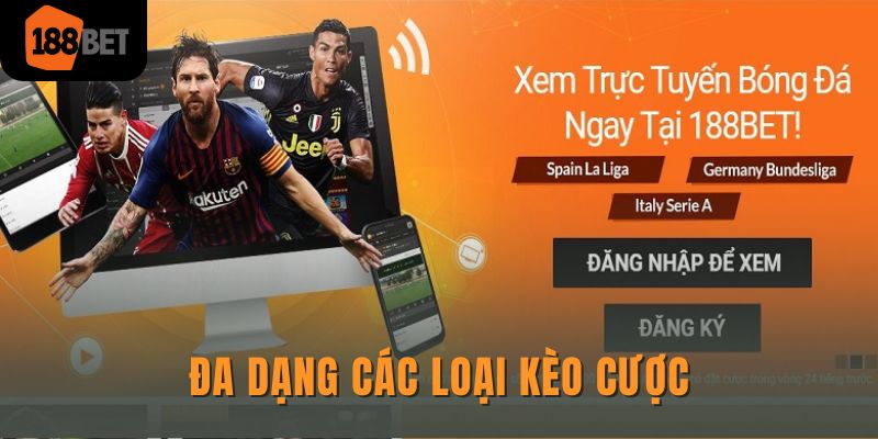 Hiểu Rõ Cách Chơi Kèo Tài Xỉu Và Bí Quyết Thắng Lớn Dễ Dàng 2 Đa dạng các loại kèo cược