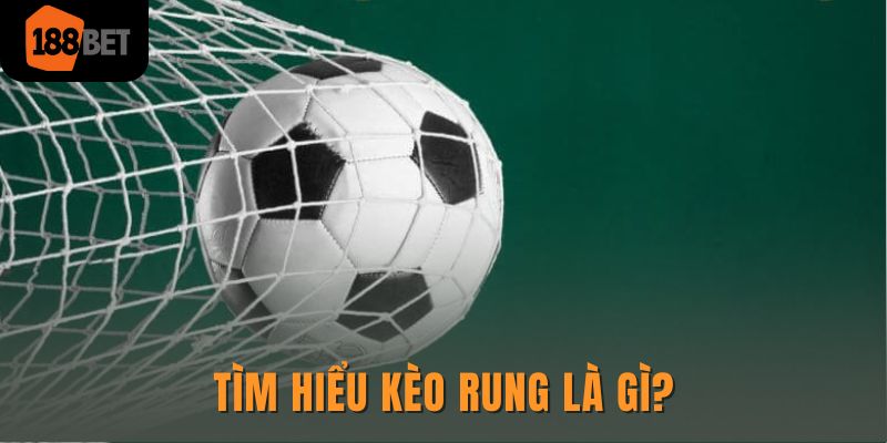 Thắng Lớn Với Những Bí Quyết Chơi Kèo Rung Không Thể Bỏ Lỡ 1 Tìm hiểu kèo rung là gì?